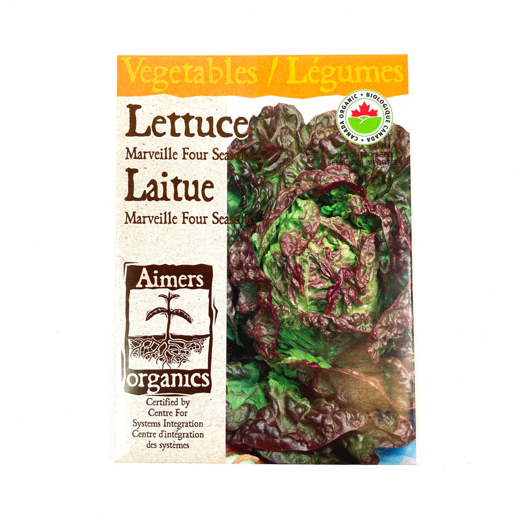Lettuce - Marveille 4 Season Seeds, Aimers Organic - Floral Acres Greenhouse & Garden Centre