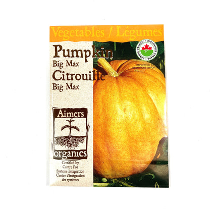 Pumpkin - Big Max Seeds, Aimers Organic - Floral Acres Greenhouse & Garden Centre