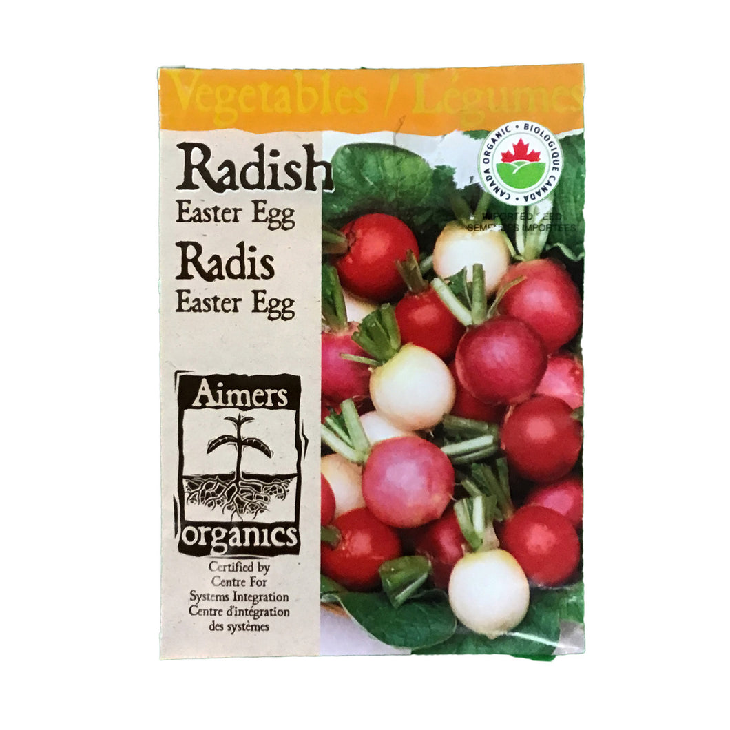 Radish - Easter Egg Blend Seeds, Aimers Organic