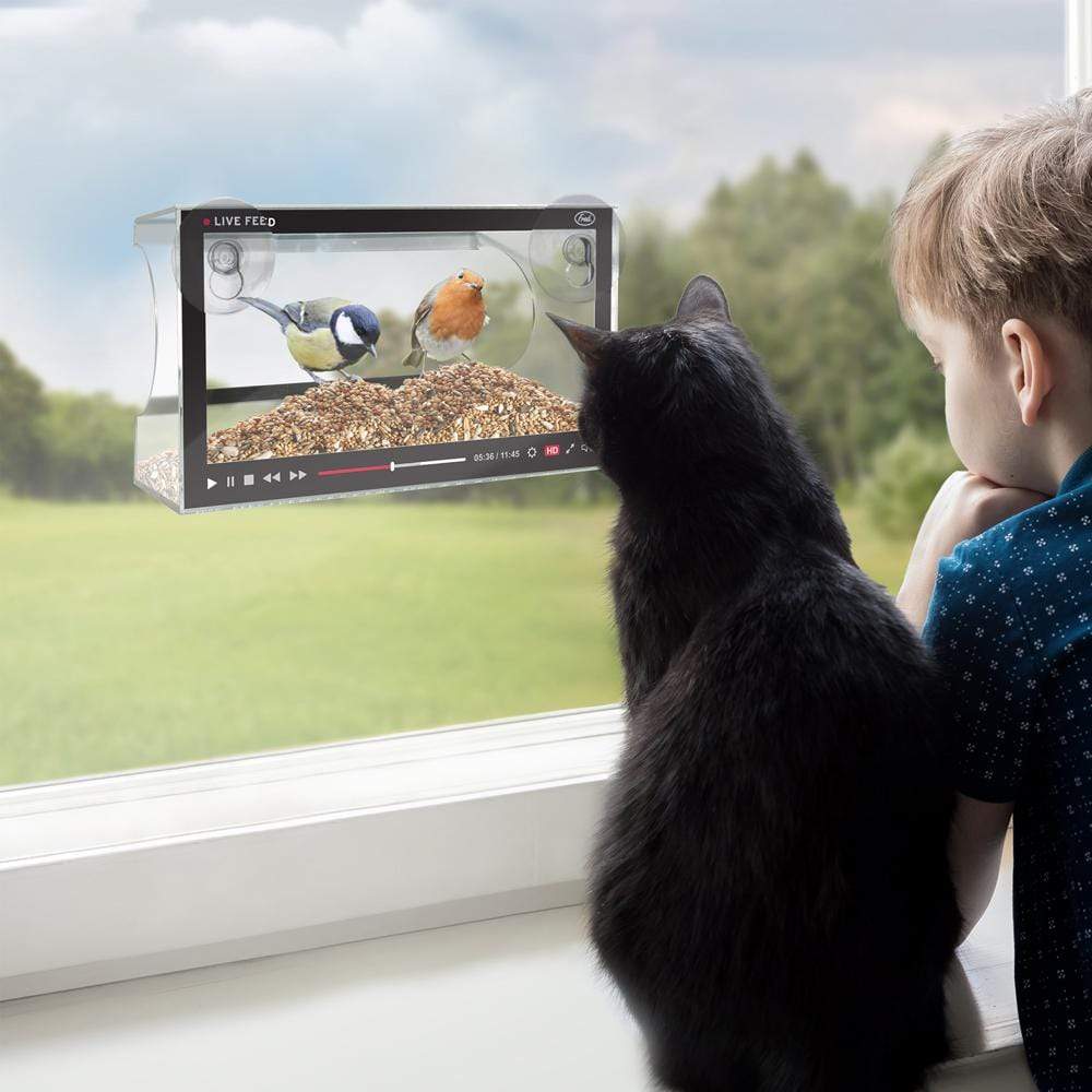 Live Feed Window-Mounted Bird Feeder - Floral Acres Greenhouse & Garden Centre