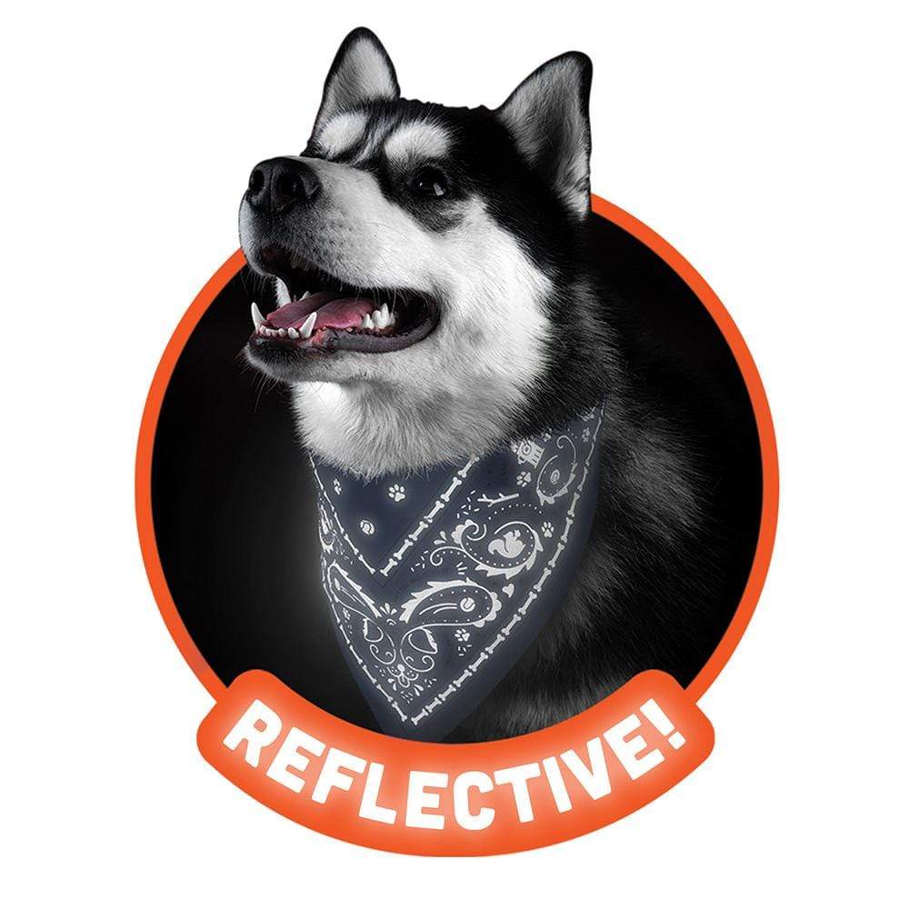 Reflective Dog Bandana, Navy, Small - Floral Acres Greenhouse & Garden Centre