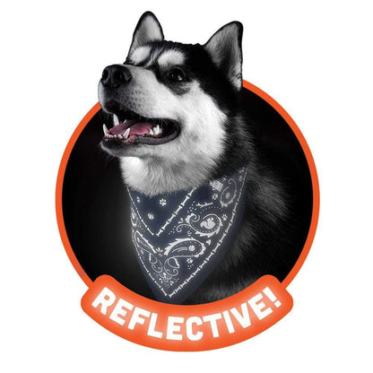 Reflective Dog Bandana, Navy, Small - Floral Acres Greenhouse & Garden Centre