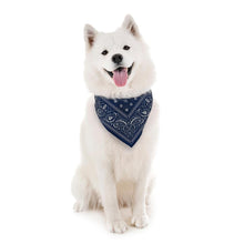 Load image into Gallery viewer, Reflective Dog Bandana, Navy, Small - Floral Acres Greenhouse &amp; Garden Centre
