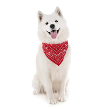 Load image into Gallery viewer, Reflective Dog Bandana, Red, Small - Floral Acres Greenhouse &amp; Garden Centre
