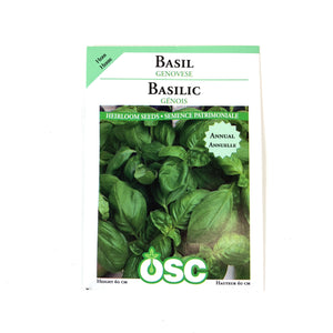 Basil - Genovese Seeds, OSC