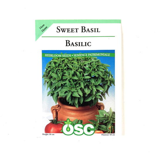 Basil - Sweet Seeds, OSC
