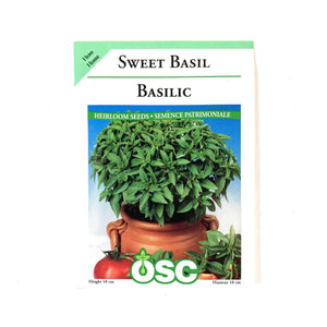 Basil - Sweet Seeds, OSC