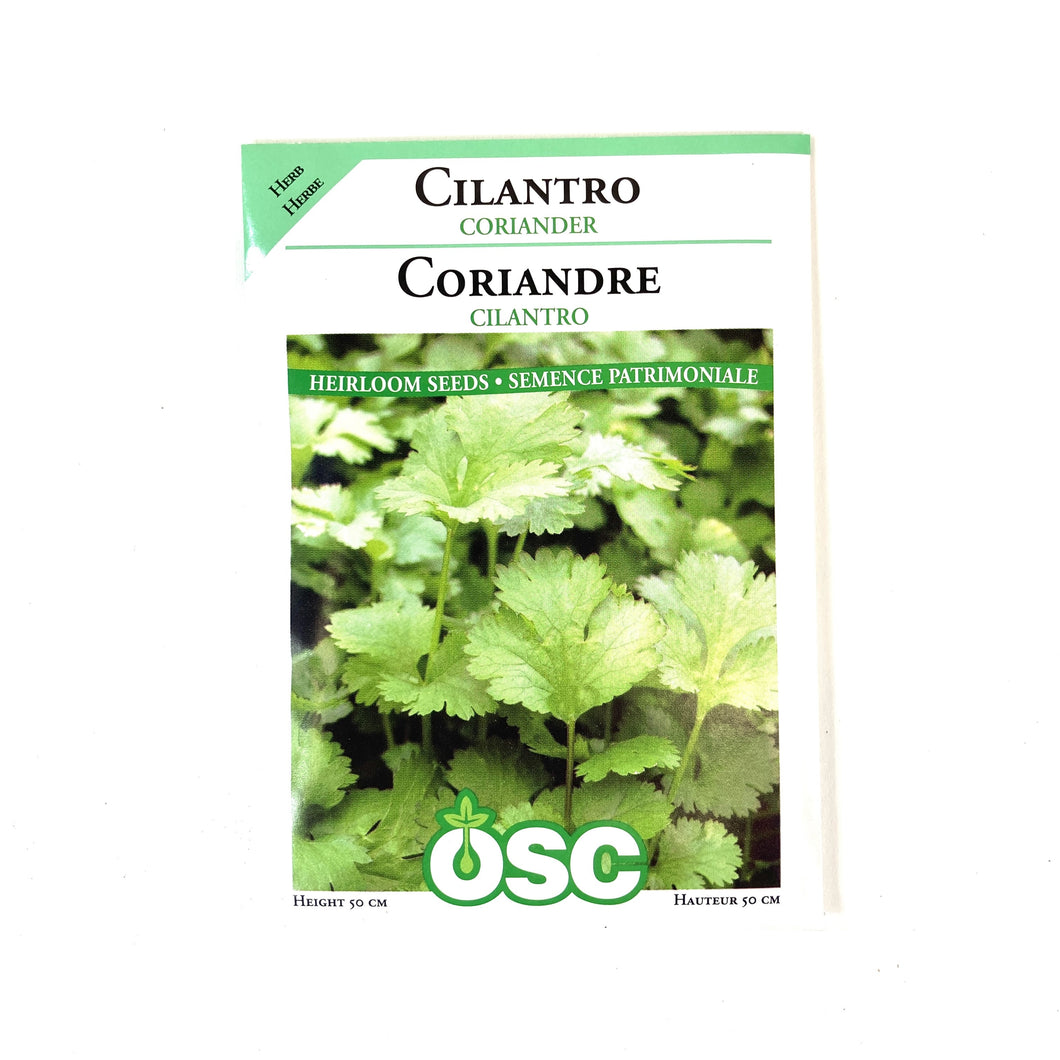 Coriander - Cilantro Seeds, OSC