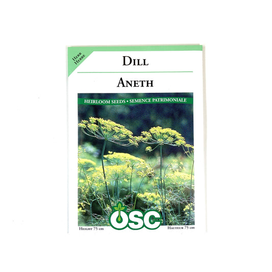 Dill - Mammoth Seeds, OSC