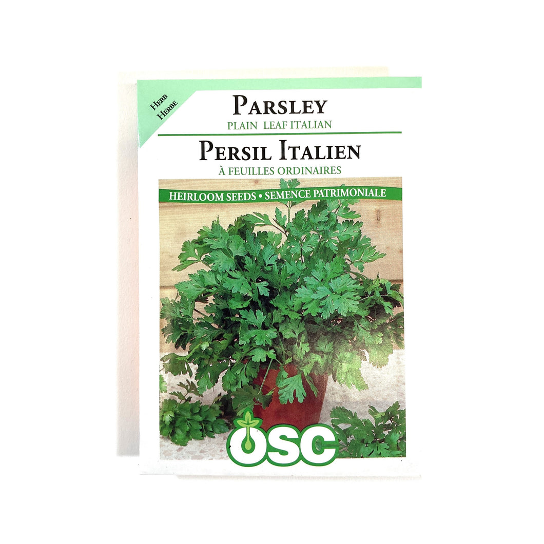 Parsley - Italian Plain Seeds, OSC