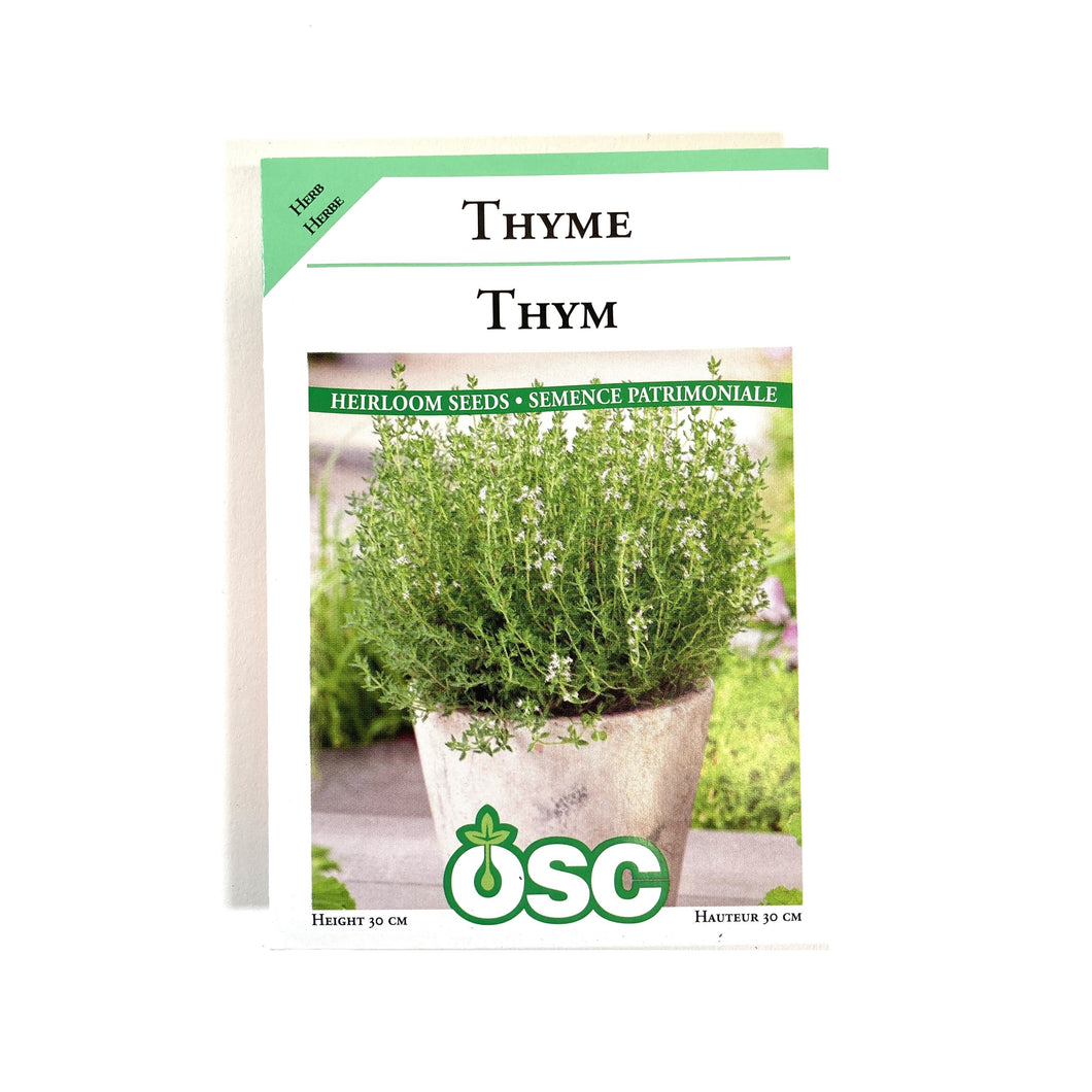 Thyme - Common/English Seeds, OSC