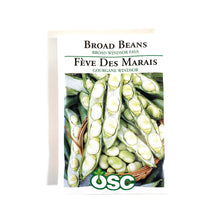 Load image into Gallery viewer, Bean Bush - Broad Windsor Fava Seeds, OSC
