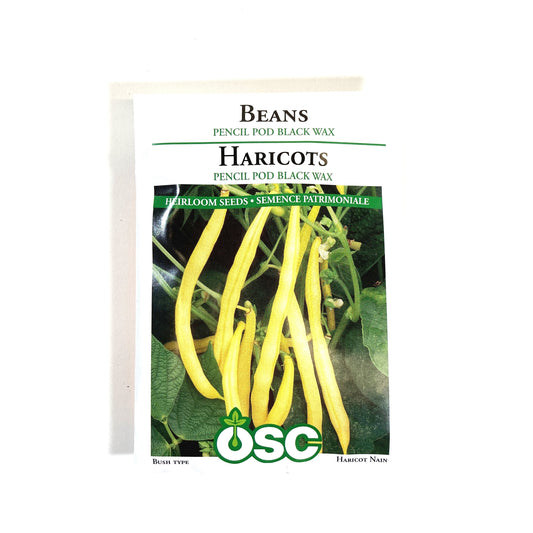 Bean Bush - Pencil Pod Black Wax Seeds, OSC