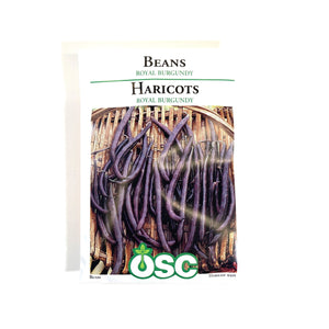 Bean Bush - Royal Burgundy Seeds, OSC