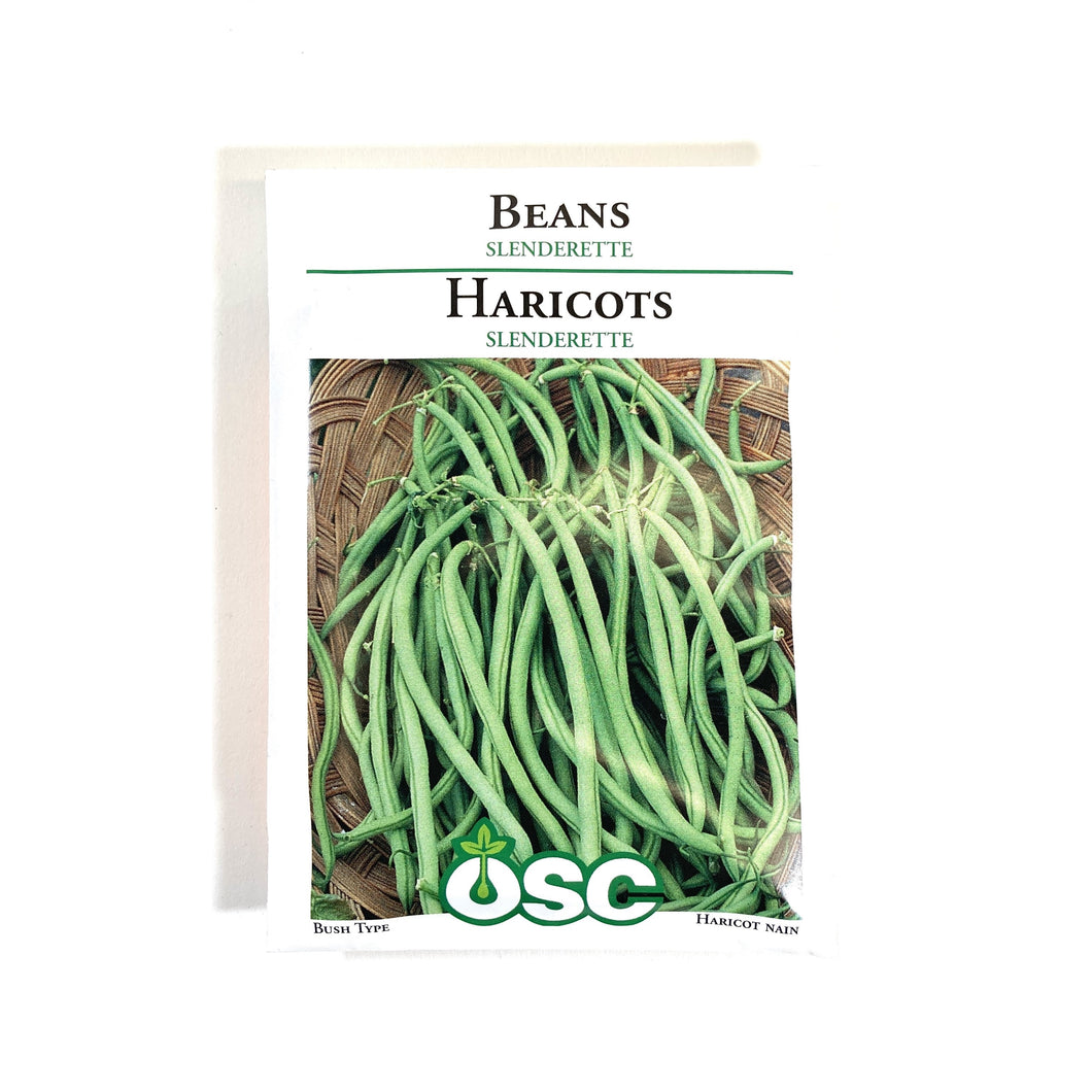 Bean Bush - Slenderette Seeds, OSC