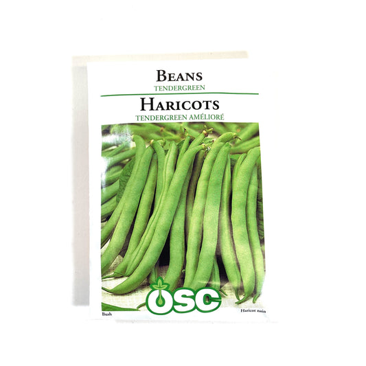 Bean Bush - Tendergreen Seeds, OSC
