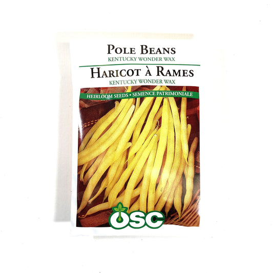 Bean Climbing - Kentucky Wonder Wax Seeds, OSC