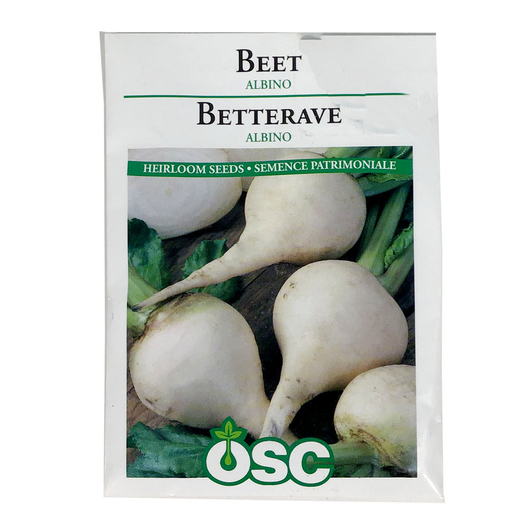 Beetroot - Albino Seeds, OSC