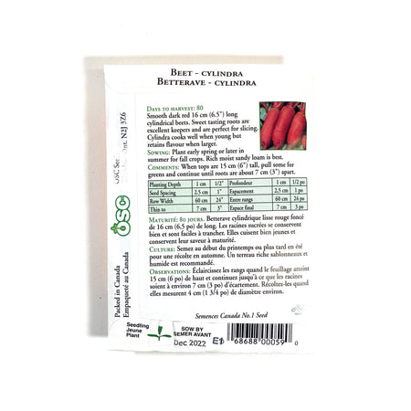 Beetroot - Cylindra Seeds, OSC