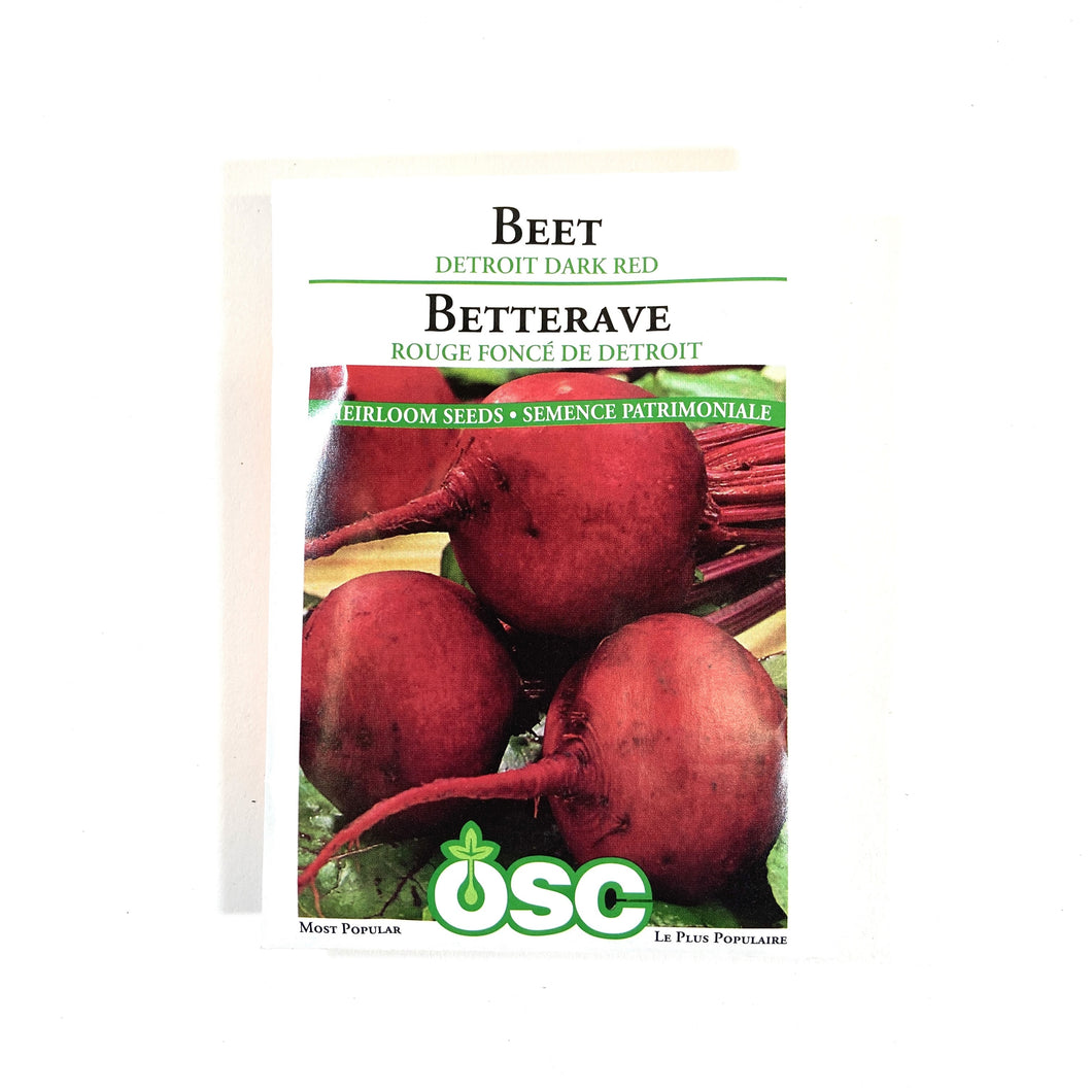 Beetroot - Detroit Dark Seeds, OSC