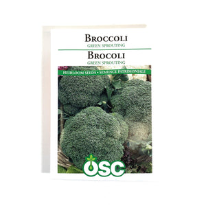 Broccoli - Green Sprouting Seeds, OSC