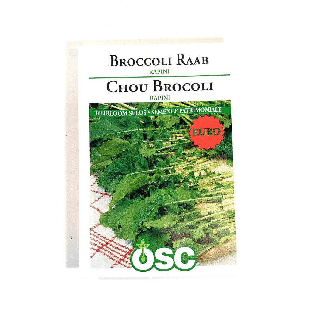 Broccoli - Rapini (Raab) Seeds, OSC