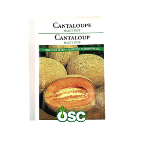 Cantaloupe - Hales Best Seeds, OSC