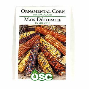 Corn - Ornamental Seeds, OSC