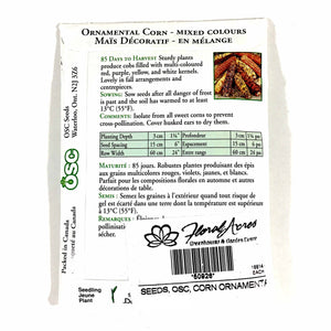 Corn - Ornamental Seeds, OSC