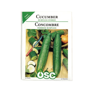 Cucumber - Burpless F1 Hybrid Seeds, OSC