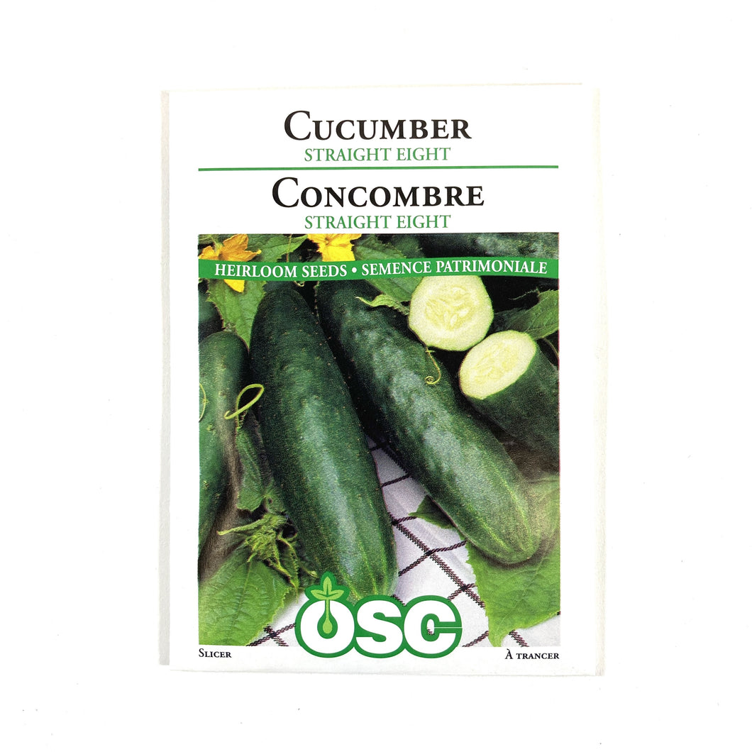 Cucumber - Straight Eight Seeds, OSC