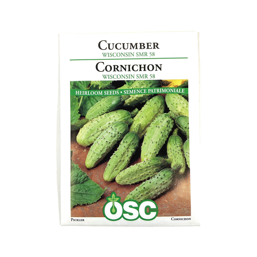 Cucumber - Wisconsin SMR 58 Seeds, OSC