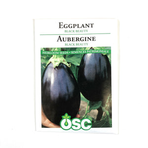 Eggplant - Black Beauty Seeds, OSC