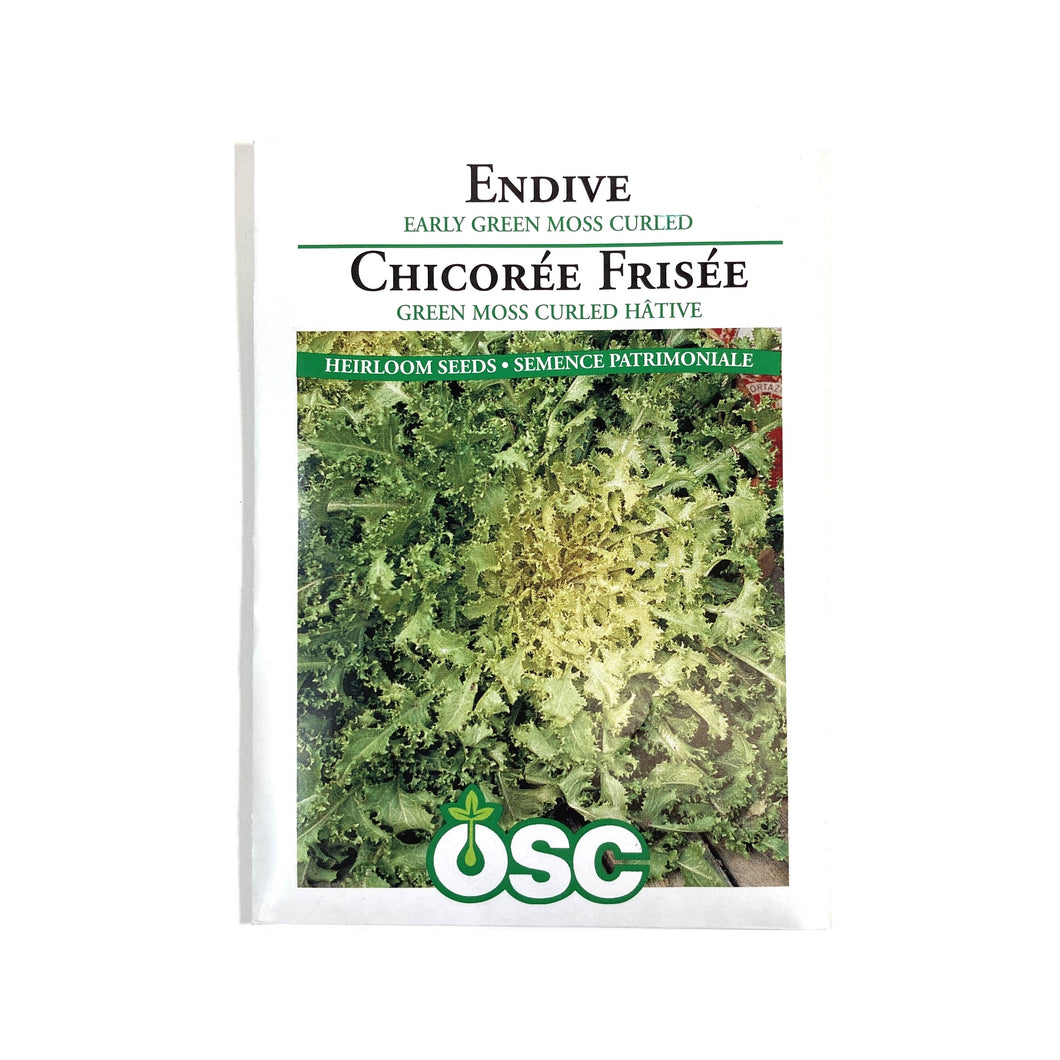 Endive - Moss Curled Seeds, OSC
