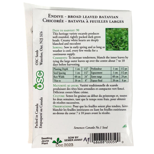 Escarole - Batavian Broad Seeds, OSC