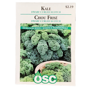 Kale - Dwarf Curled Scotch Seeds, OSC