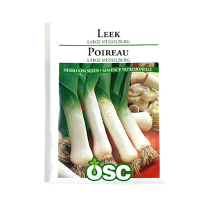 Leek - Large Musselburg Seeds, OSC