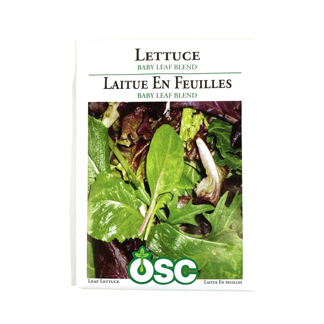 Lettuce - Baby Leaf Blend Seeds, OSC