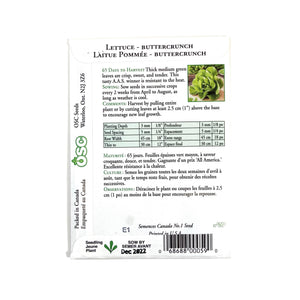 Lettuce - Buttercrunch Seeds, OSC - Floral Acres Greenhouse & Garden Centre