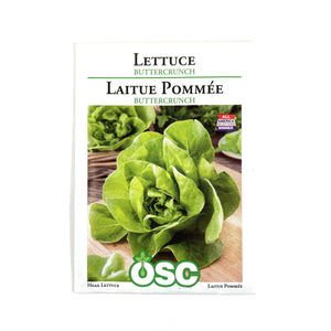 Lettuce - Buttercrunch Seeds, OSC