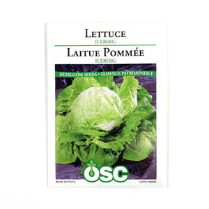 Lettuce - Iceberg Seeds, OSC