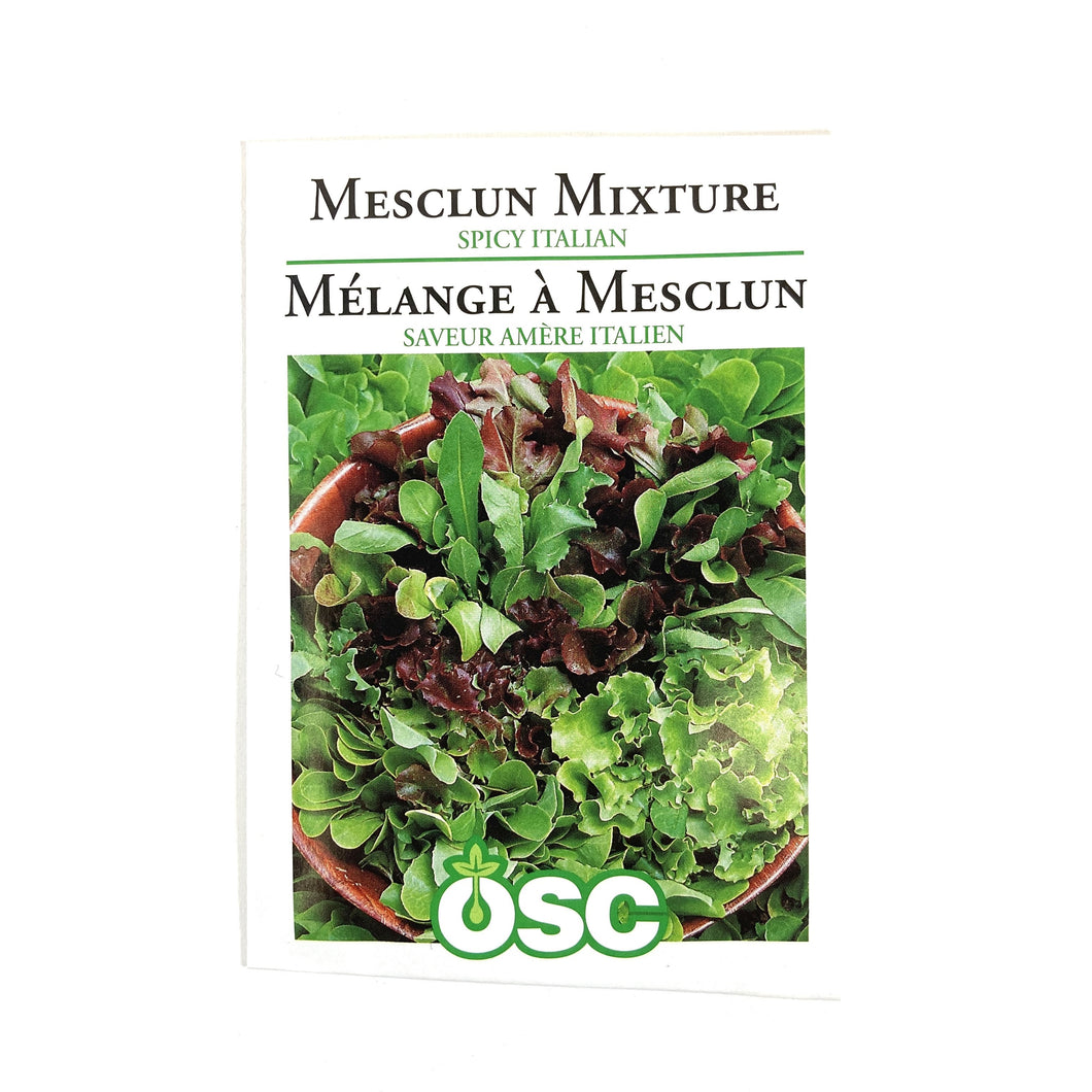 Mixed Greens Seeds - Spicy Mesclun Mix
