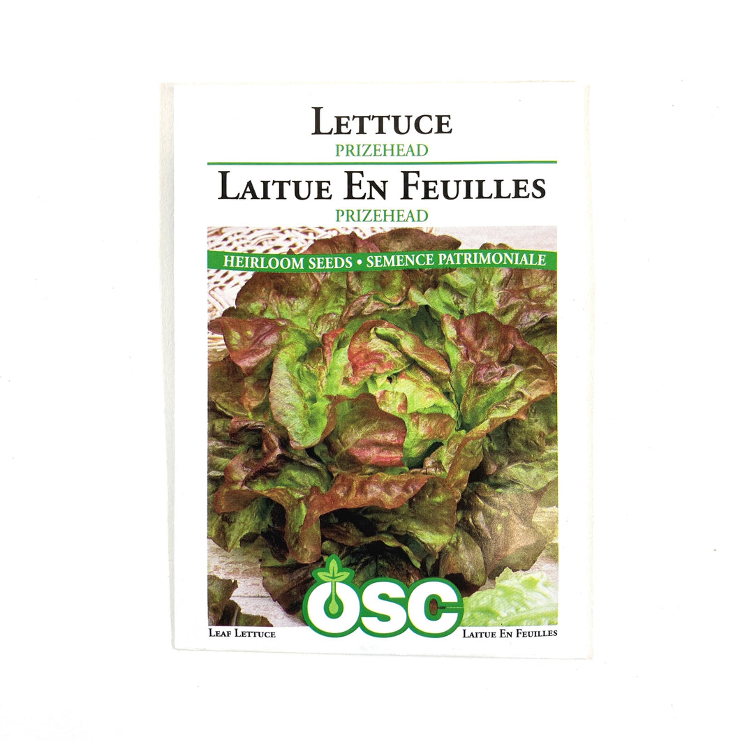 Lettuce - Prizehead Seeds, OSC