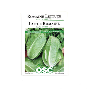 Lettuce - Paris Island Cos Seeds, OSC