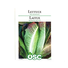 Load image into Gallery viewer, Lettuce - Red Romaine Seeds, OSC
