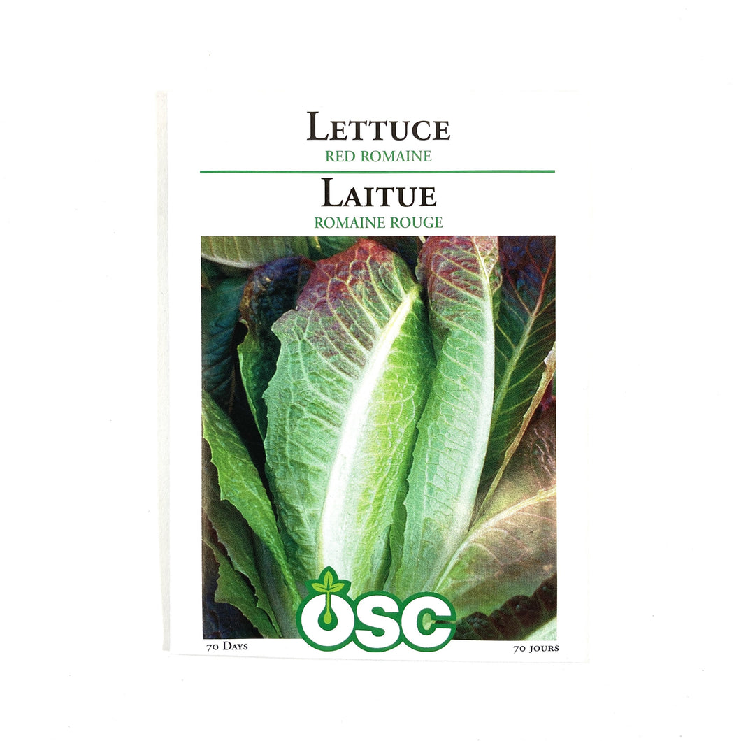 Lettuce - Red Romaine Seeds, OSC