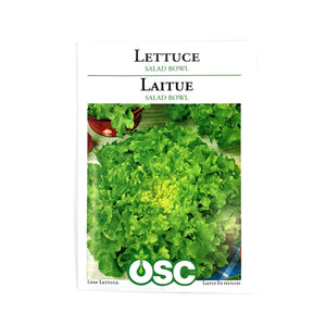 Lettuce - Salad Bowl Seeds, OSC