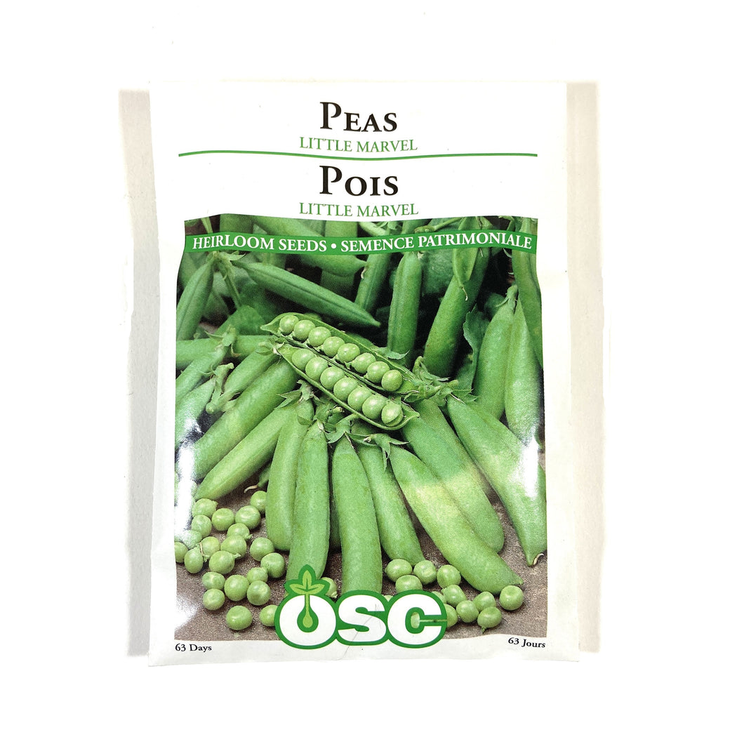 Pea - Little Marvel Seeds, OSC