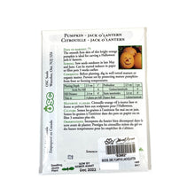 Load image into Gallery viewer, Pumpkin - Jack O Lantern Seeds, OSC
