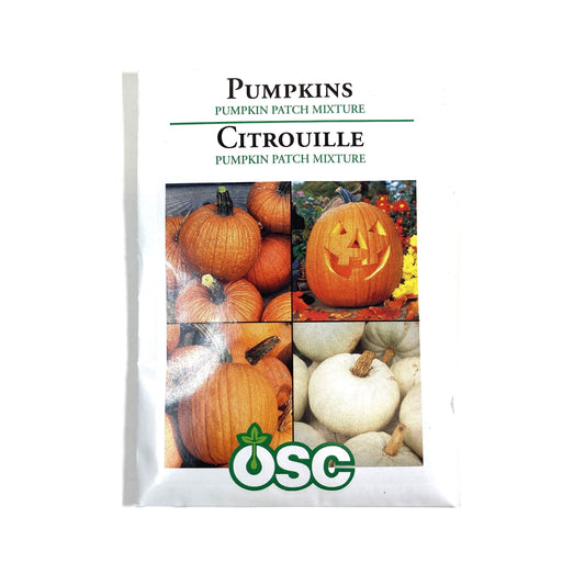 Pumpkin - Pumpkin Patch Mix Seeds, OSC